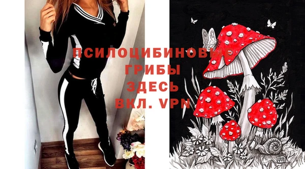 а пвп мука Гусь-Хрустальный