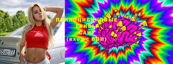 а пвп мука Гусь-Хрустальный